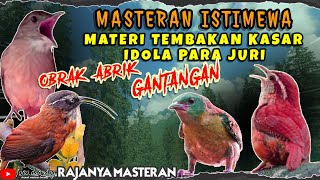 IDOLA JURI OBRAK ABRIK GANTANGAN! SUARA BURUNG TEMBAKAN KASAR MASTERAN BURUNG LOMBA