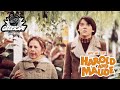 Why We Love ... Harold & Maude