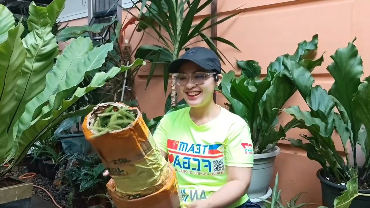 Plant mail - hanging plants. 