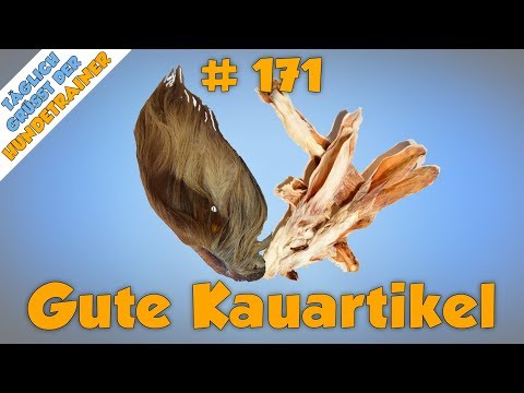 Video: Die guten Kausnacks für Hunde mit Zahnfleischproblemen