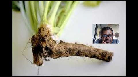 RCMOOCS FEEDBACK VIDEO