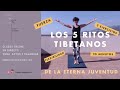 Los 5 RITOS TIBETANOS de la ETERNA JUVENTUD. 5 EJERCICIOS para ponerte en FORMA