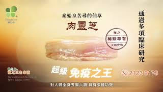 Ty-E advertisement 2 in HK screenshot 4