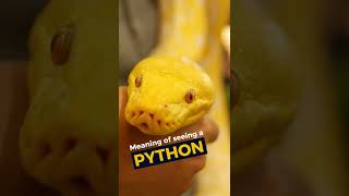 Meaning of seeing a Python in a dream Profile