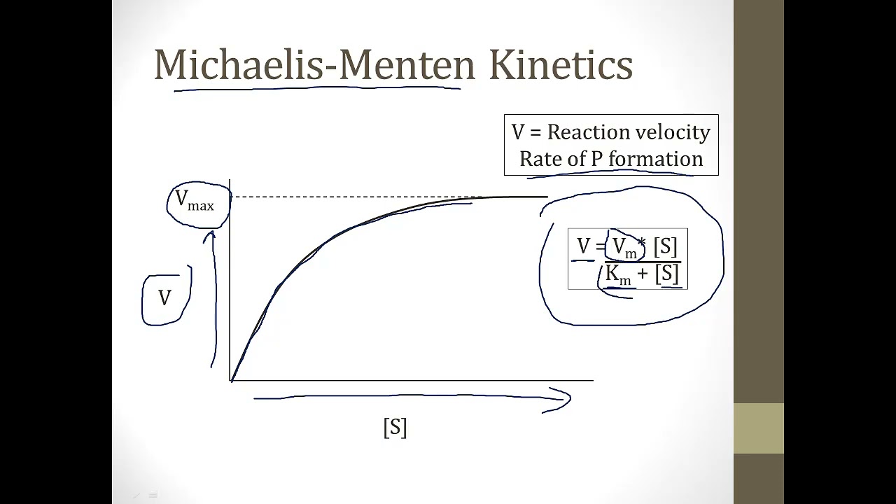 Enzymes || Basic Pharmacology || Boards and Beyond