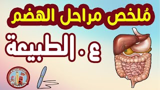 ملخص درس مراحل الهضم - علوم الطبيعة - BEM 2020