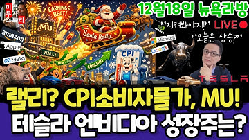 미국주식/CPI소비자물가지수/테슬라 엔비디아 구글 애플 아마존 메타 마이크로소프트 팔란티어 아이온큐 리게티 QBTS 삼성전자 MU 브로드컴 오라클 델 슈마컴 코어위브 DXYZ