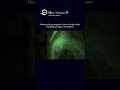 The ISS captures a green storm: Auroras flooding Earth’s atmosphere.