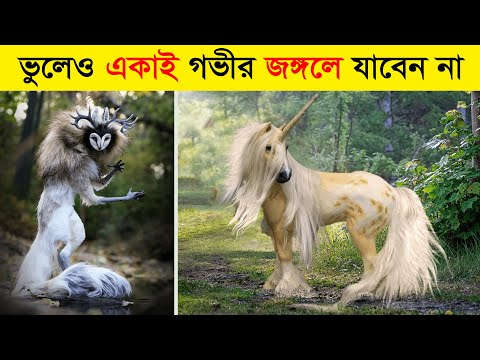 ভিডিও: পৃথিবীর অস্বাভাবিক প্রাণী - এদের কয়টি পৃথিবীতে আছে?