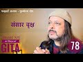 78 Gita | पंद्रहवाँ अध्याय - पुरुषोत्तम योग | संसार वृक्ष | Anant Sri