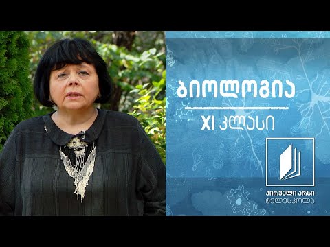 ბიოლოგია XI კლასი - გენეტიკური ცნებები, მენდელის კვლევის მეთოდები, მენდელის პირველი და მეორე კანონი