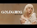 Billie Eilish - GOLDWING [Full HD] lyrics