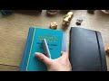 Beginning of video