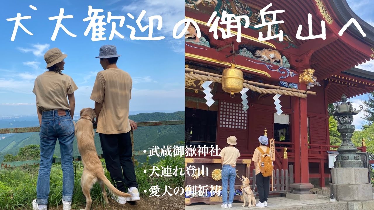 【犬連れ登山】武蔵御嶽神社へ愛犬の健康,長寿祈願をしに行きました✨ゴールデンレトリバー