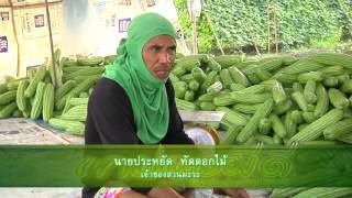 รายการคนไทยหัวใจเกษตร วันที่02 กุมภาพันธ์ 2559 B2