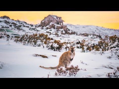 Videó: Utcai Járás, Megismerés és Esés 5 év Alatt, Valamint Motoros Kognitív Kockázat Új-Zélandon: Te Puāwaitanga O Nga Tapuwae Kia Ora Tonu, LiLACS NZ