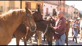 Ateleta, invasione di cavalieri per il trekking 'Valle del Sole'