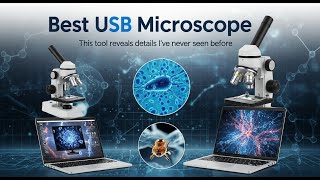 TOP 5 Best USB Microscope 2026 | Want to Explore Microscopic Worlds?