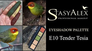 StasyAlex EYESHADOWS PALETTE E10 TENDER TESIA