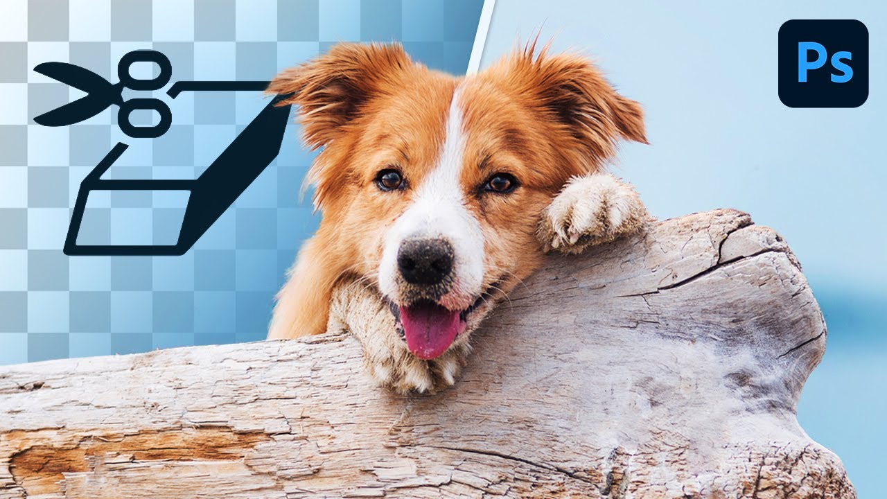 How To Use The Background Eraser Tool To Cut Out Images In