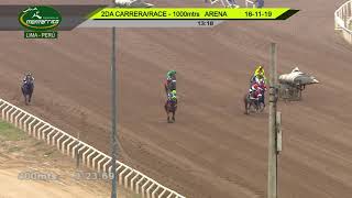 Vidéo de la course PMU THOROUGHBRED 1000