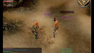 Cabal Online - Dança Sync