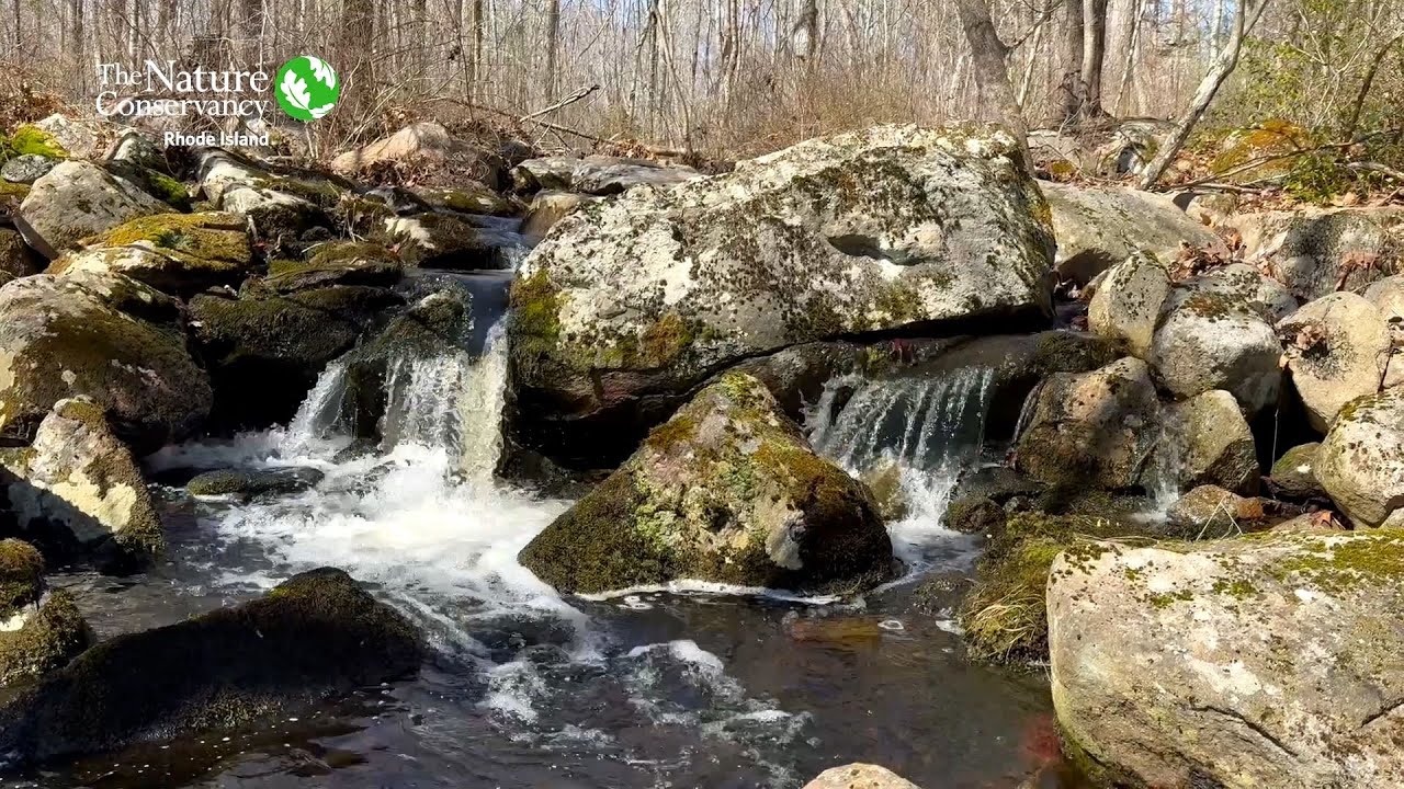 Canonchet Brook Preserve Expansion