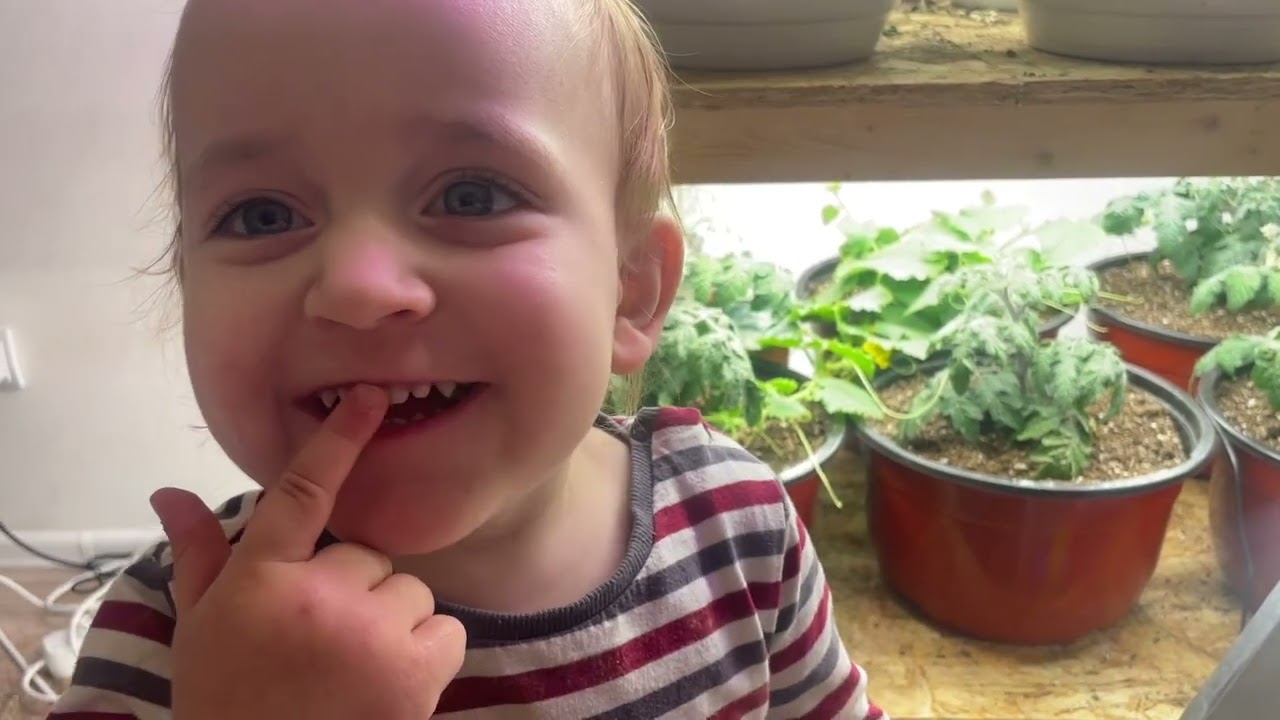 ОГУРЕЦ ДОМА за 51 ДЕНЬ Зозуля [7 часть]