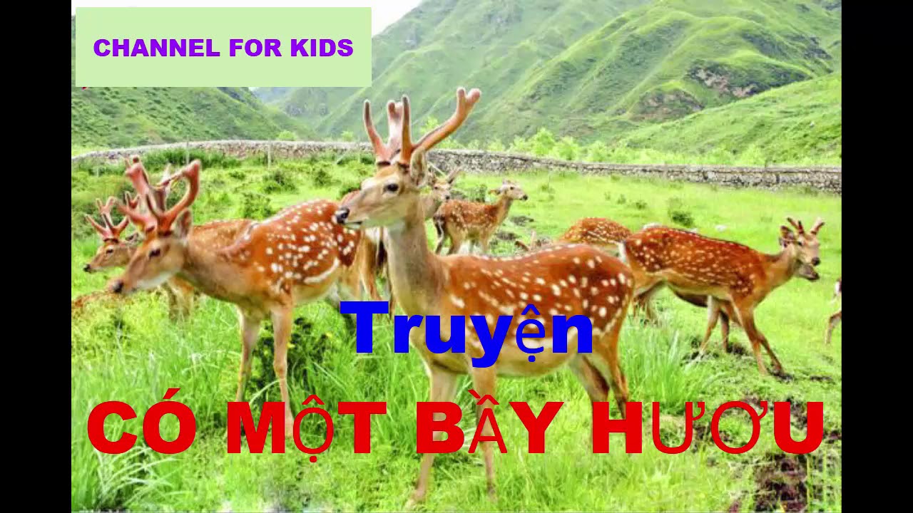 Đọc truyện cho bé nghe - Truyện CÓ MỘT BẦY HƯƠU - Channel for kids and moms