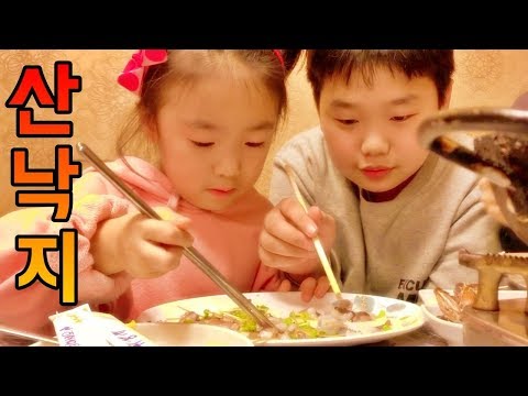 산낙지 먹방 &amp;amp; 젓가락으로 낙지 집기 도전