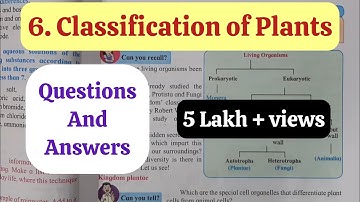 9th Std - Science - Chapter 6 Classification of plants questions answers exercise -Maharashtra board