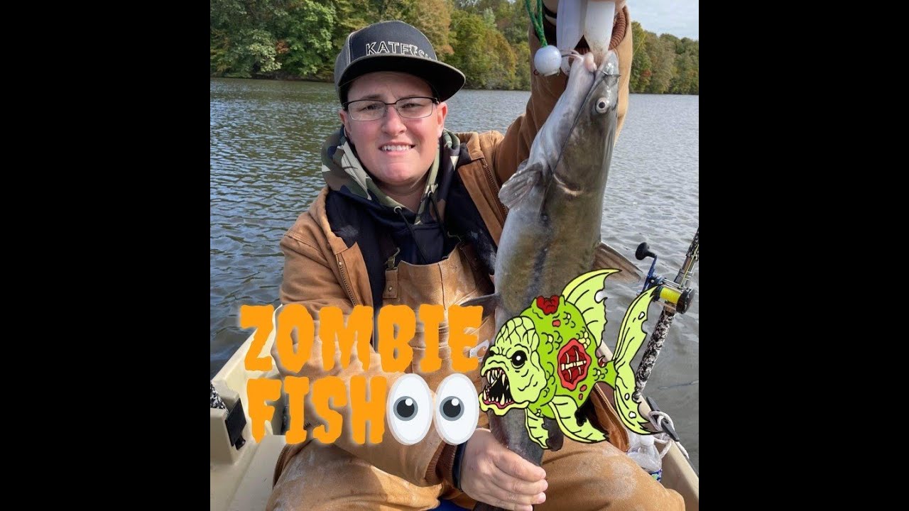 Zombie Catfish & Flathead YouTube