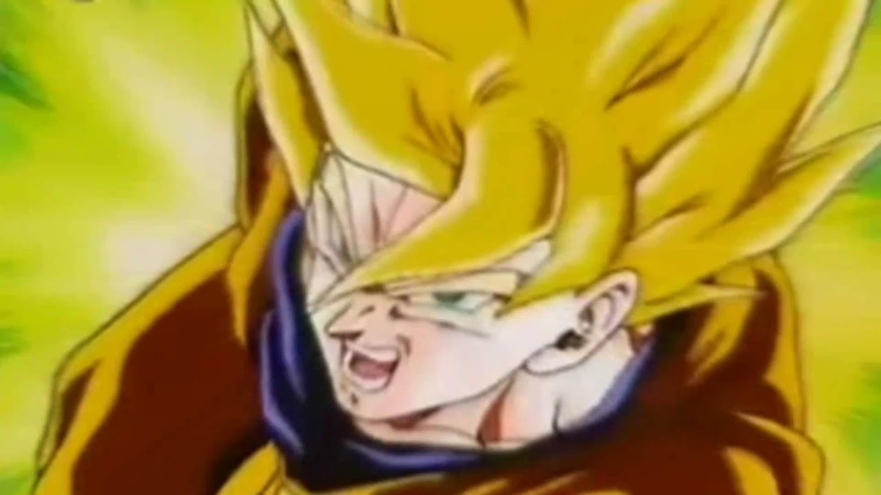 Dragonball Z CatFish Soup D.D.S