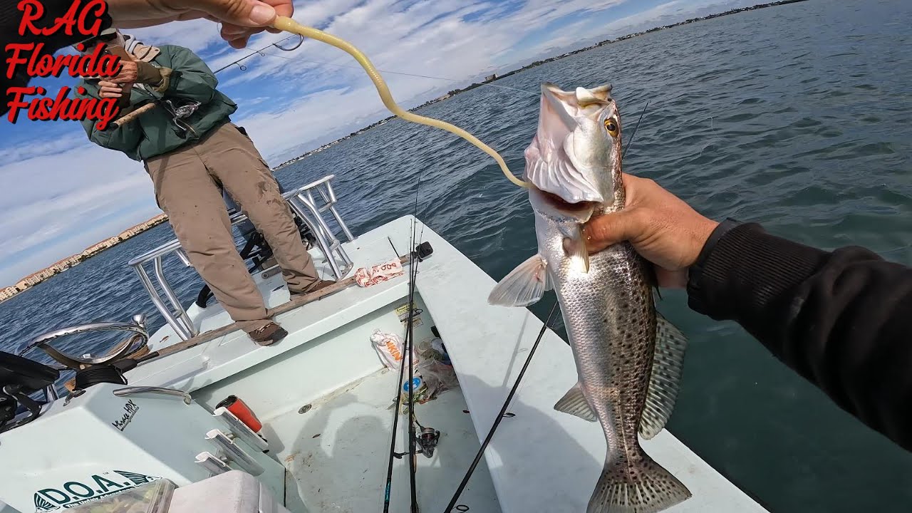 Я поймал пятнистую форель на САМУЮ СТРАННУЮ ПРИМАНКУ В ЖИЗНИ!!!!!