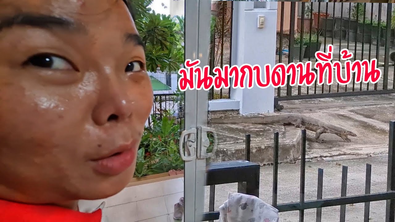 มากบดานที่นี่ทำไม | ครูนกเล็ก