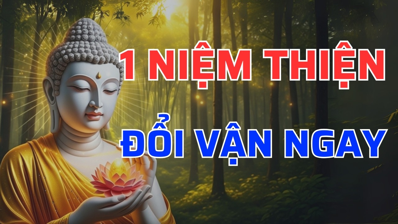 Một Niệm Thiện Khởi Lên, Vận Mệnh Lập Tức Đổi Khác – Nhân Quả Không Bao Giờ Sai | Tâm An audio