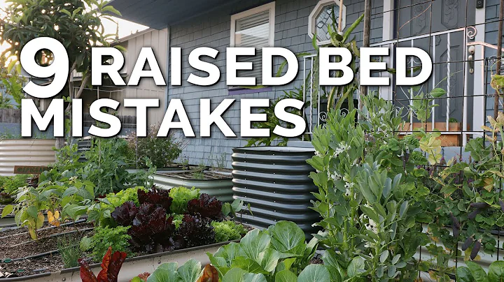 9 Beginner Raised Bed Garden Mistakes to Avoid - DayDayNews