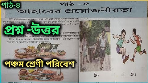 আহারের প্রয়োজনীয়তা | পঞ্চম শ্রেণীর পরিবেশ, পাঠ-৫  | প্রশ্ন -উত্তর, ক্রিয়াকলাপ | Class-5 EVS