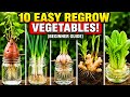 10 Vegetables You Can Regrow Forever From Kitchen Scrap