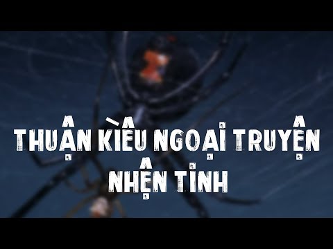 Video TẬP 245. THUẬN KIỀU NGOẠI TRUYỆN- NHỆN TINH - youtube