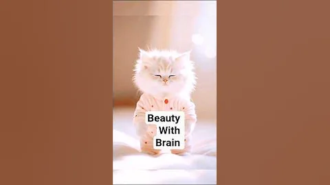 Video 11105261: cat showing dance, best cat dance, cat funny dance, cat playing dancing