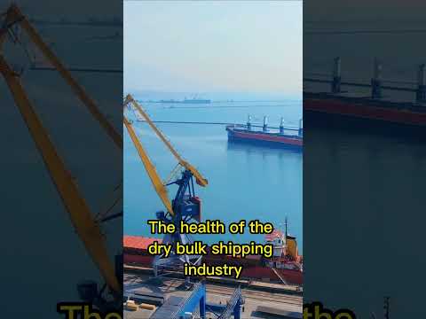 Dry bulk shipping runs the world. #economics #shorts #documentary #shipping #logistics