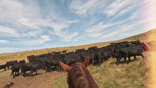 Ranch Week at Dryhead Ranch