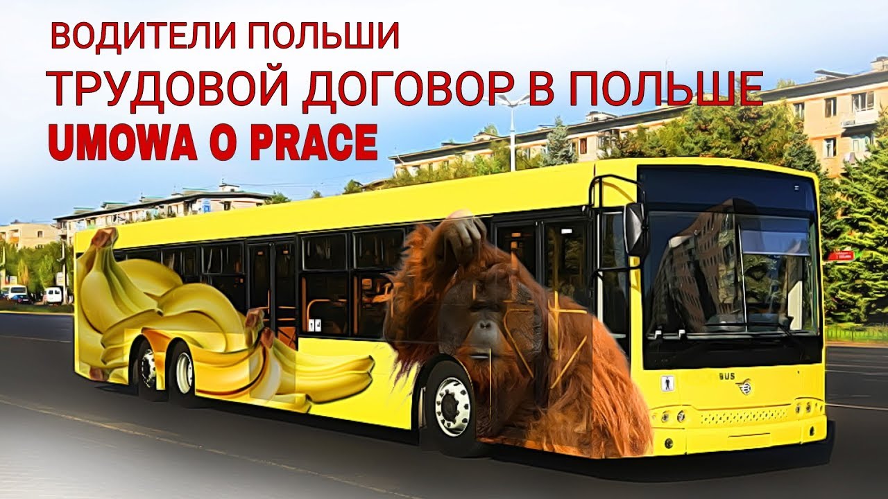 Трудовой договор водителя в Польше. - YouTube