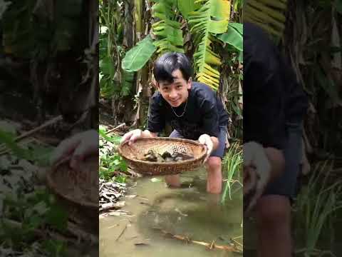 Cùng Nhọn Ăn