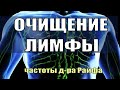 Квантовое очищение лимфы (Детокс)🔆Исцеление звуком🔆частоты д-ра R. Rife