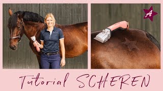 Das Fell Kommt Ab I Pferd Scheren Tutorial L Tipps Und Tricks L Herz Auf Den Po Youtube