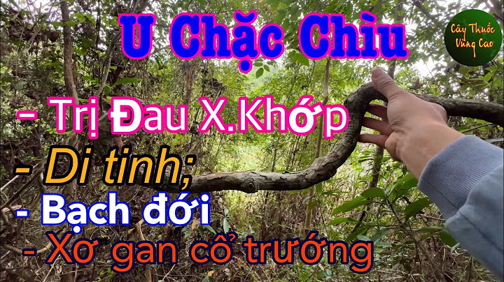 Thuốc fabamox 500 là thuốc gì