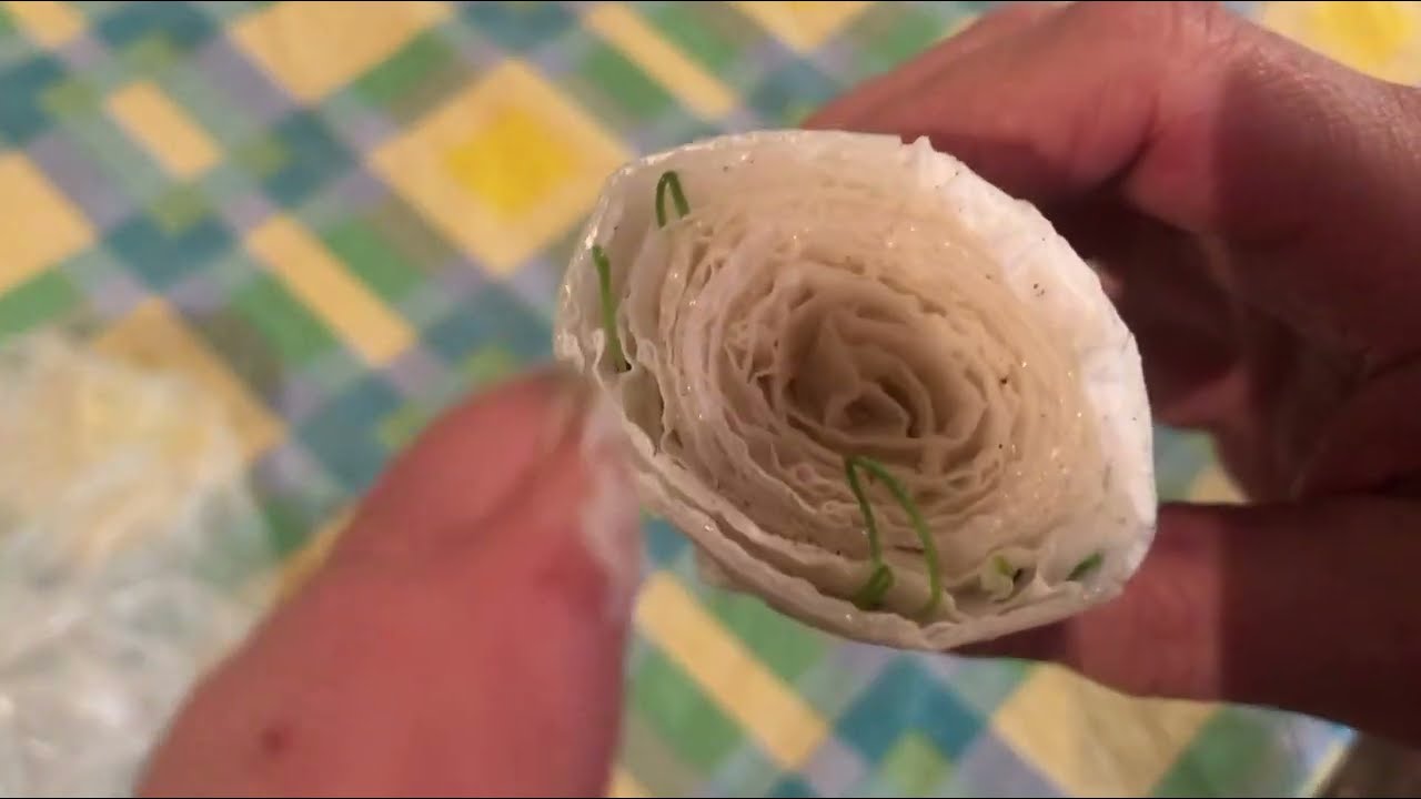 Как посеять лук в улитку