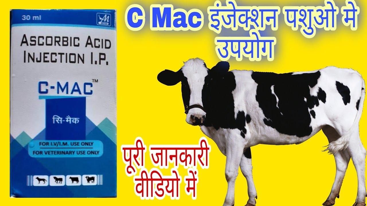 Mac Injection C Mac Injection Veterinary सी मैक इंजेक्शन पशुओ मे कहा उपयोग है - YouTube